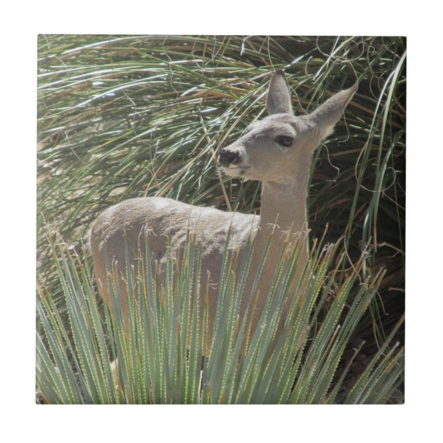 Deer Tile (Front)