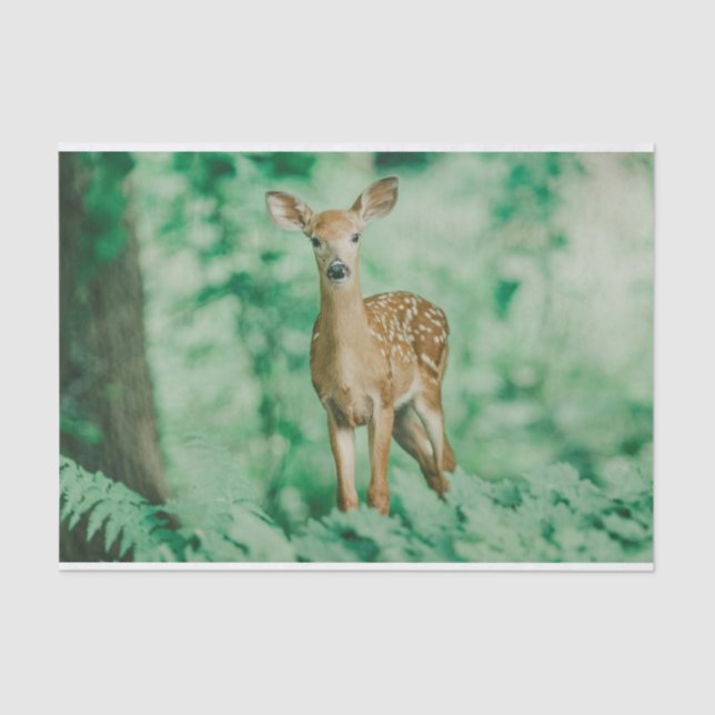 Deer Tissue Paper (Front)