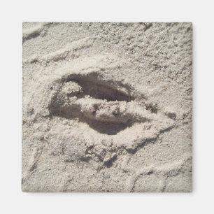 Deer track magnet