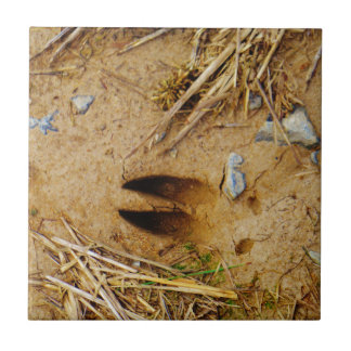 Deer Track Tile