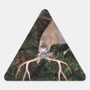 Deer Triangle Sticker