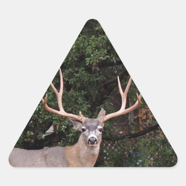 Deer Triangle Sticker (Front)