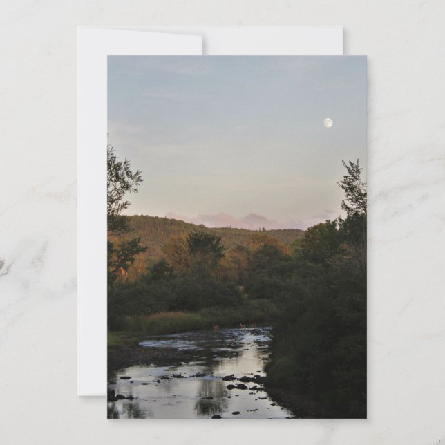 Deer Under the Moon (Front)