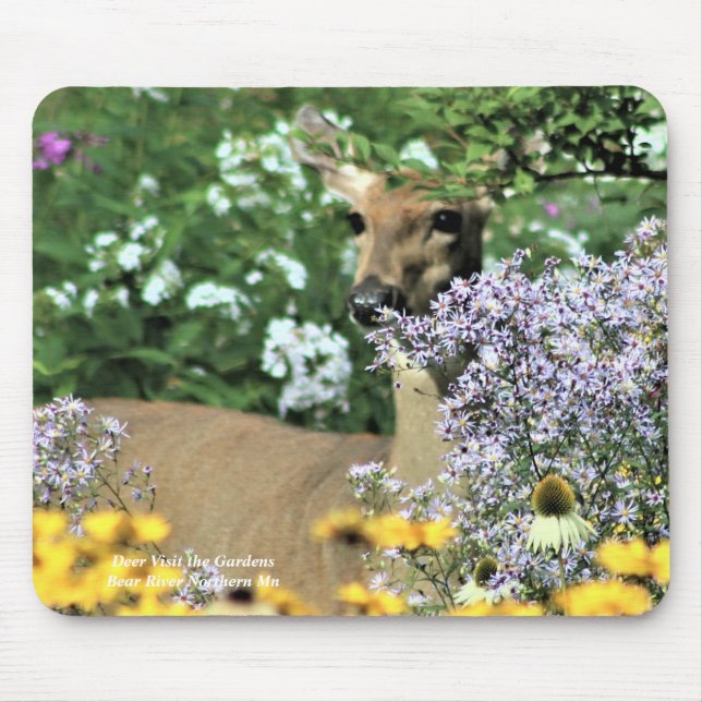Deer Visit the Gardens close up Mouse Pad (Front)