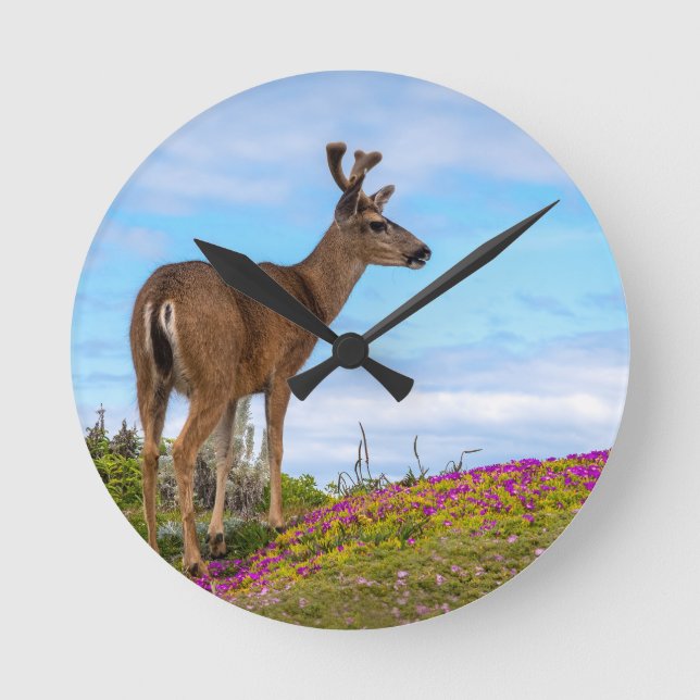 Deer Wall Clock | Coastal Wildflower Wildlife (Front)