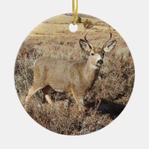Deer, wildlife, buck, Ceramic Ornament