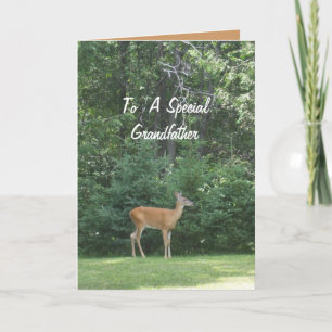 Deer Wishing Grandfather Happy Father's Day Card