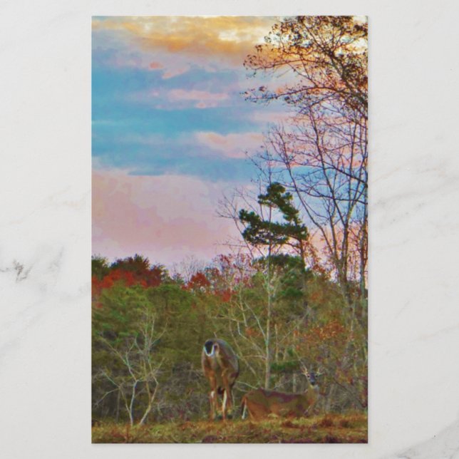 Deer with a Pink blue sky (Front)