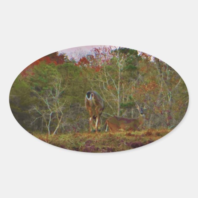 Deer with a Pink blue sky Oval Sticker (Front)