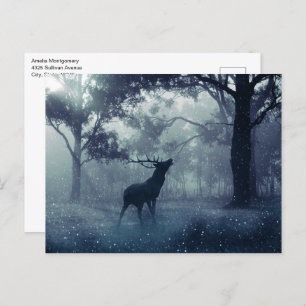 Deer with Antlers in a Shadowy Forest Postcard