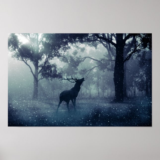 Deer with Antlers in a Shadowy Forest Poster (Front)