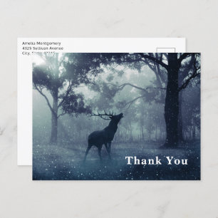 Deer with Antlers in Shadowy Forest Thank You Postcard
