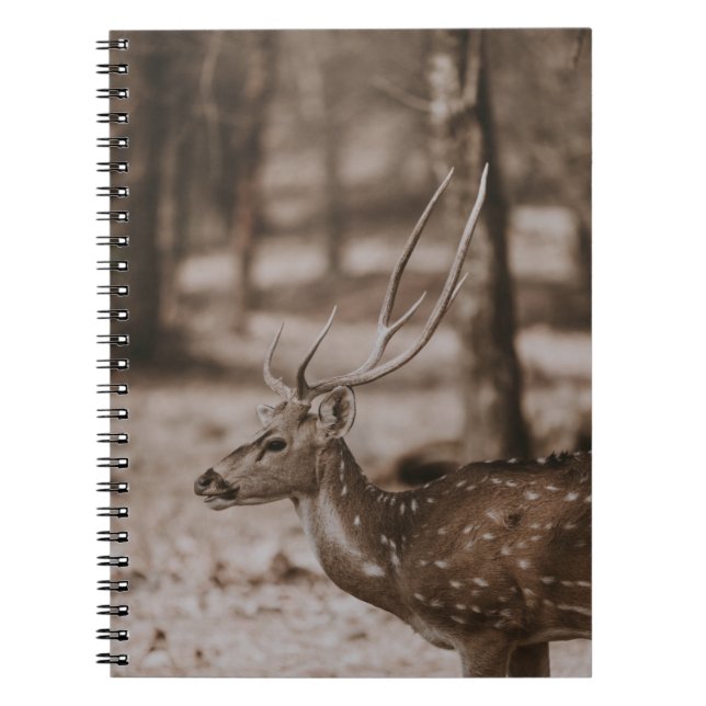 DEER WITH ANTLERS NOTEBOOK (Front)