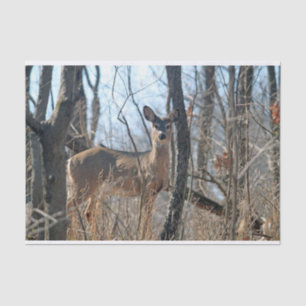 Deer Woods Autumn Tissue Paper