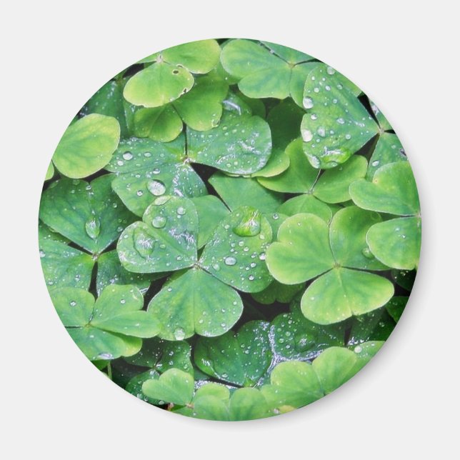 Deerpark Ireland Clover Dew Drops Magnet (Front)