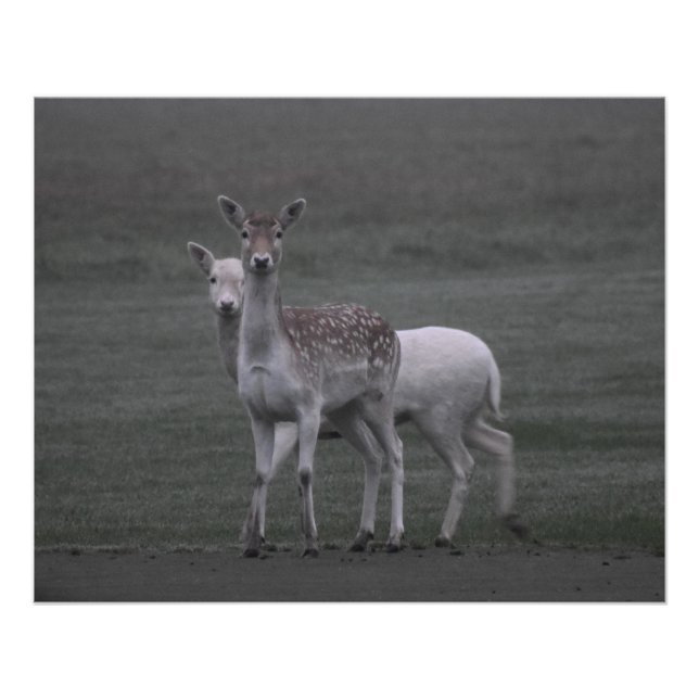 Deers Poster (Front)