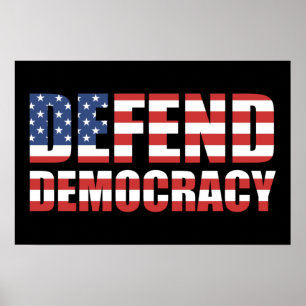 Defend Democracy Pro-Democracy Voting Rights Poster