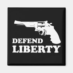 Defend liberty magnet
