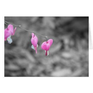 Défenseurs de la veuve et de l'orphelin le comté