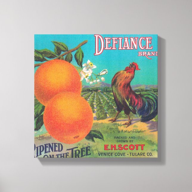 Defiance Orange LabelVenice Cove, CA Canvas Print (Front)