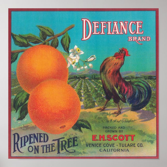 Defiance Orange LabelVenice Cove, CA Poster (Front)