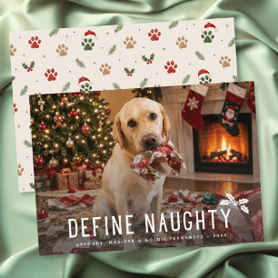 Define Naughty Dog Funny Photo Christmas Holiday Card