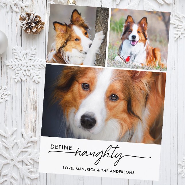 Define Naughty Funny Custom Pet Photos Chrismtas Holiday Card (Creator Uploaded)