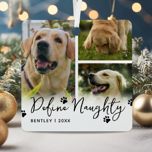 Define Naughty Funny Pet Christmas Metal Ornament