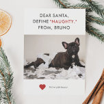 Define Naughty Funny Pet Photo Holiday Card<br><div class="desc">Holiday photo card for pet lovers! The text says "Dear Santa, Define "NAUGHTY" From XX (your pet's name)." Replace the picture with your favourite naughty puppy or kitty moment picture. Guaranteed to be a cute and heartwarming card that will make your family and friends laugh and say "Awww." Simple white,...</div>