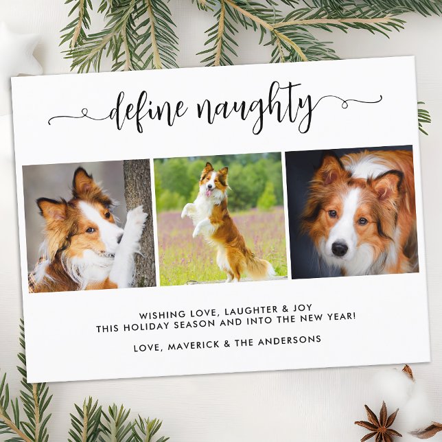 Define Naughty Personalized Funny 3 Pet Photos Holiday Postcard (Creator Uploaded)