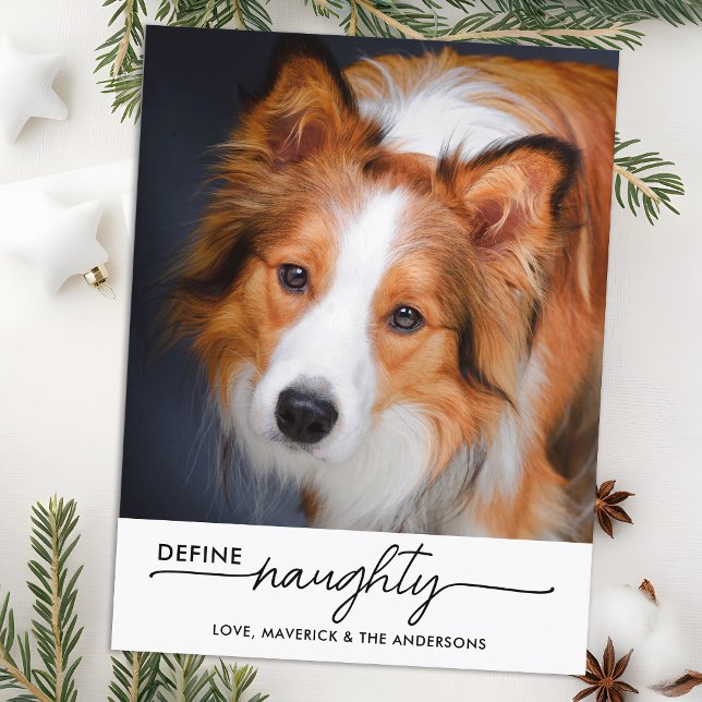 Define Naughty Personalized Funny Pet Dog Photo Holiday Postcard (Creator Uploaded)