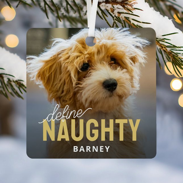 Define Naughty Pet Photo Christmas Metal Ornament (Creator Uploaded)