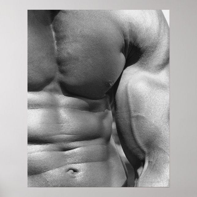 Defined abdomen and bicep poster (Front)