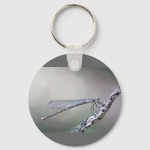 defining serenity keychain