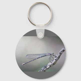defining serenity keychain