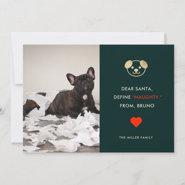 Définir Naughty | Funny Chien Photo Carte de vacan (Devant)