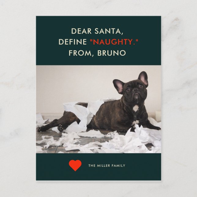 Définir Naughty | Votre carte de vacances photo dr (Devant)