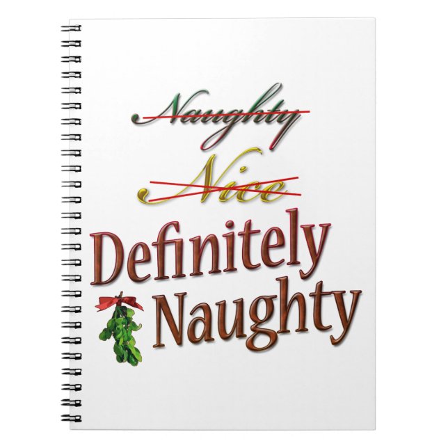 Definitely Naughty Notebook (Front)