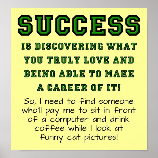 Definition Of Success Funny Sign Poster (Front)