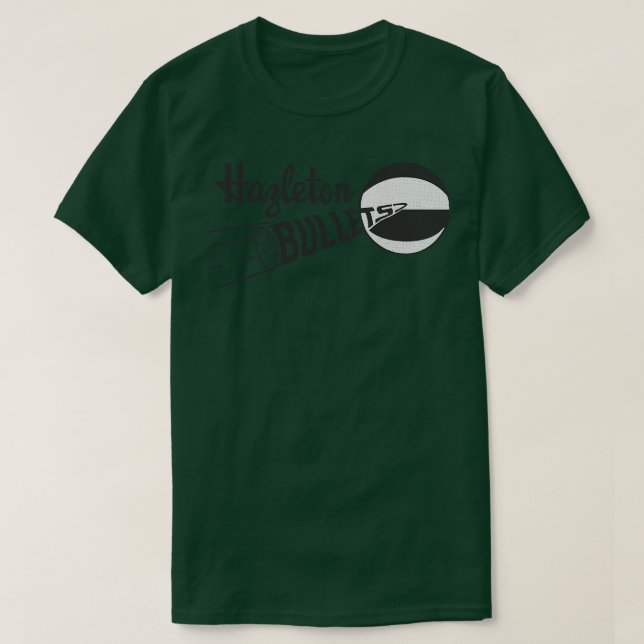 Defunct Hazleton Bullets EBA Basketball 1973 T-Shirt (Design Front)