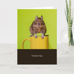 Degu on Yellow Cup Thank You
