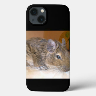 Degu Relaxing iPhone 13 Case