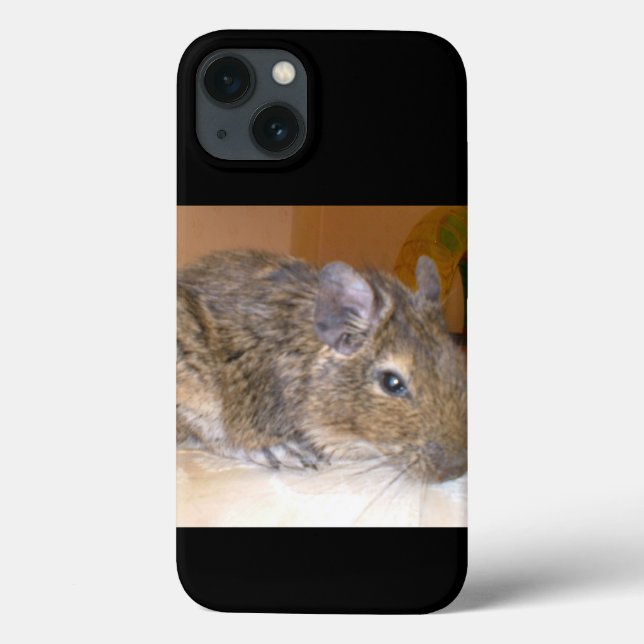 Degu Relaxing Case-Mate iPhone Case (Back)