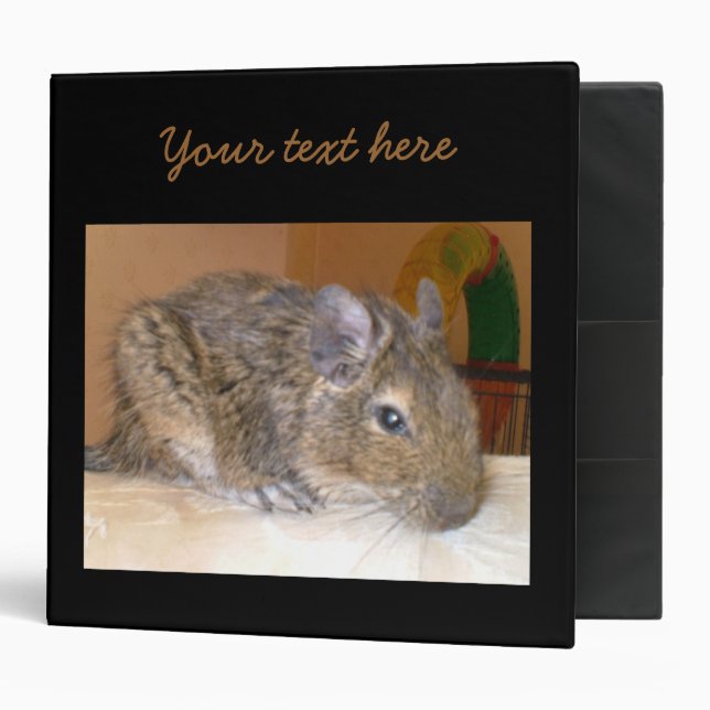 Degu relaxing Customizable Binder (Front/Inside)