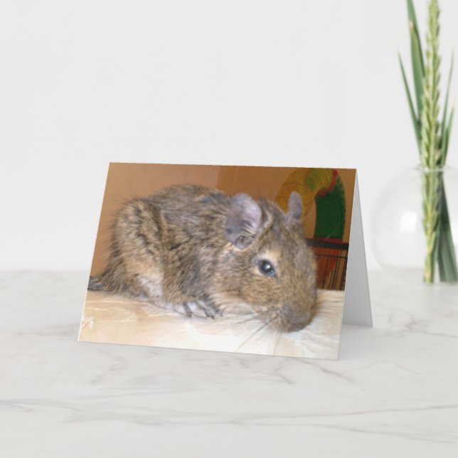 Degu relaxing Greeting Card (Front)