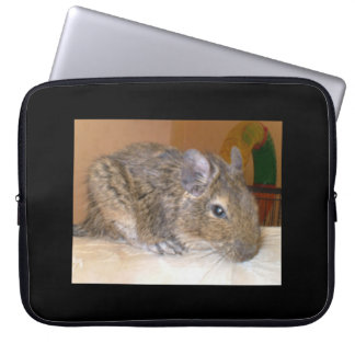 Degu Relaxing Laptop Bag