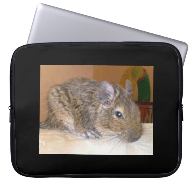 Degu Relaxing Laptop Bag (Front)