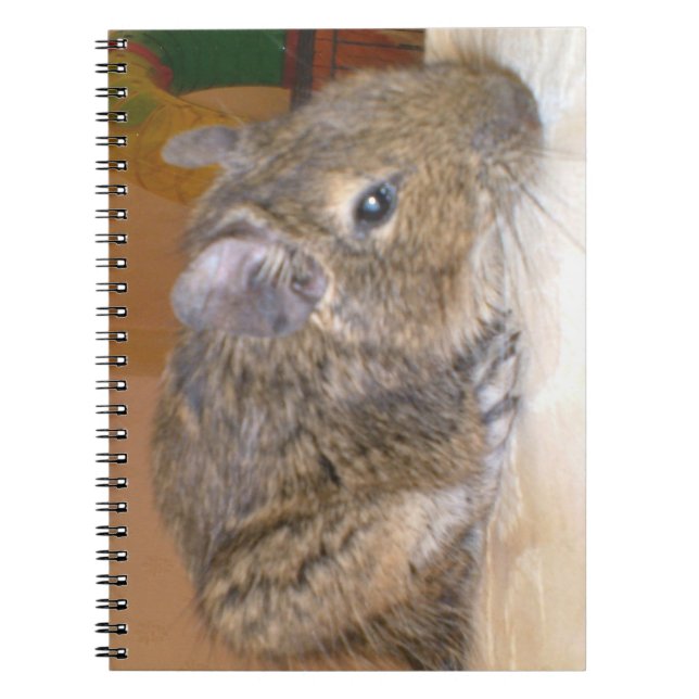 Degu Relaxing Notebook (Front)