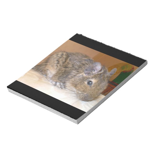 Degu Relaxing Notepad (Rotated)