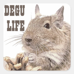 ► DEGU ► Rodents Square Sticker